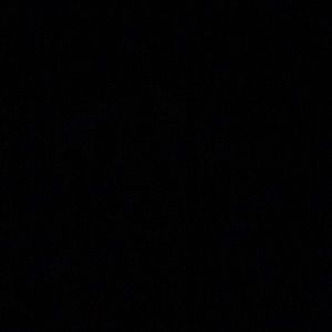 Meet your Posher, Vince